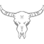 animal skull