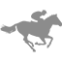 sport-horse-riding