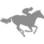 sport-horse-riding