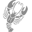 zodiac-sign-cancer
